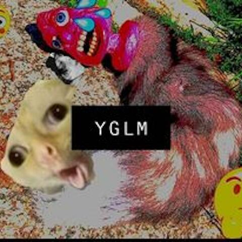 YGLM