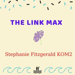 The Link Max