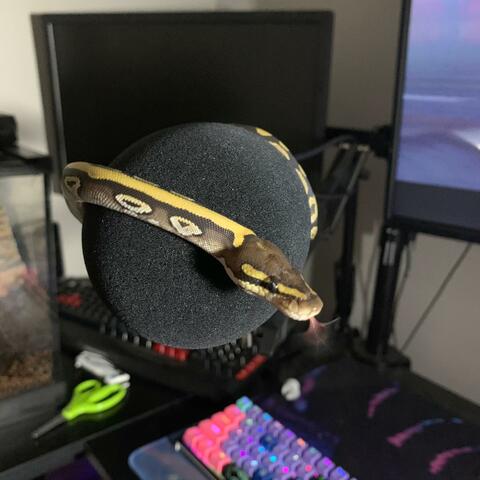 Welcome To The Party