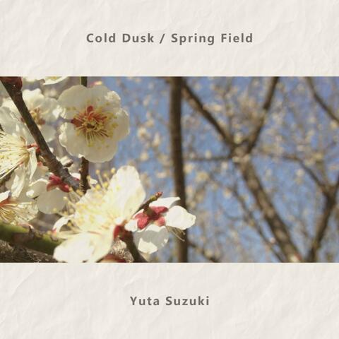 Cold Dusk / Spring Field