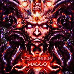 Experience