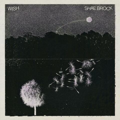Wish