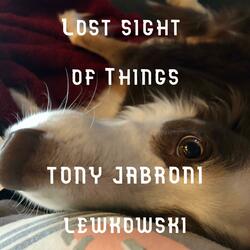 Lost Sight of Things