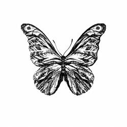 After the Cocoon