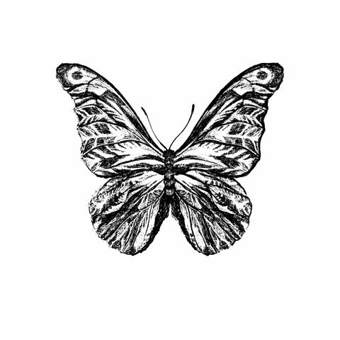 After the Cocoon