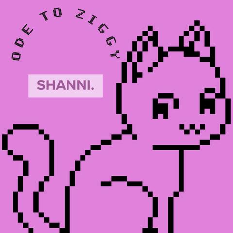 Ode to Ziggy
