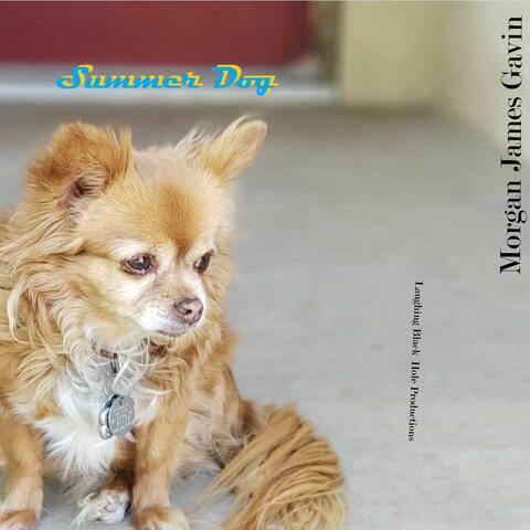 Summer Dog