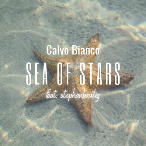 Sea Of Stars
