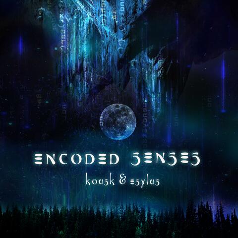 Encoded Senses