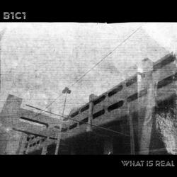 What Is Real