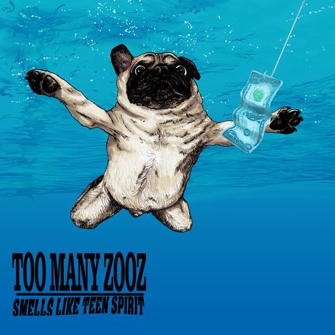Smells Like Teen Spirit