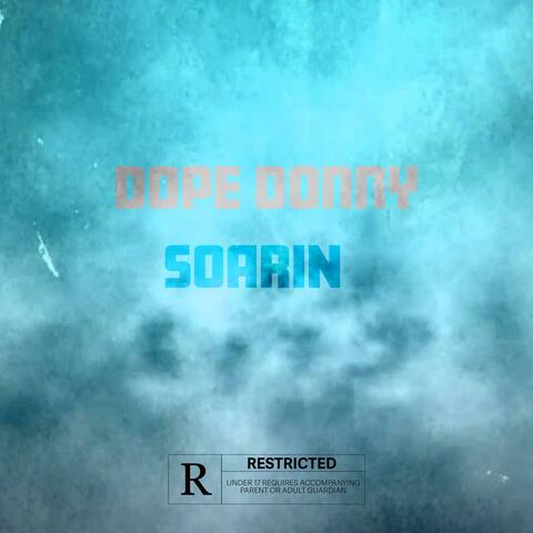 Soarin