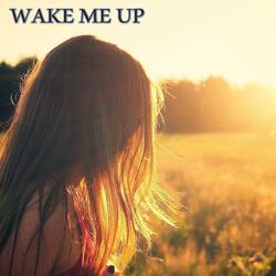 Wake Me Up