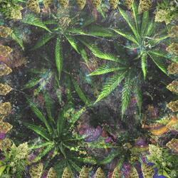 CHRONIC