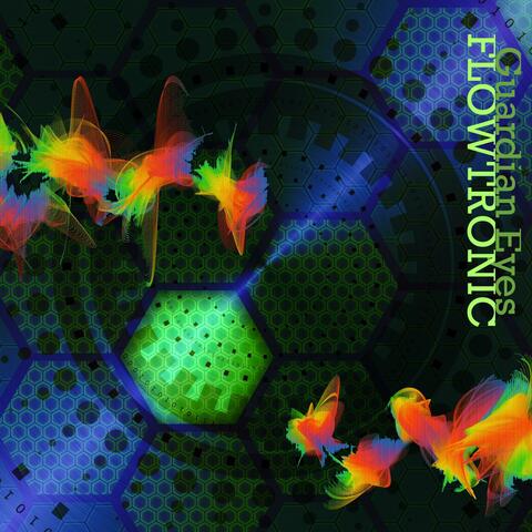 Flowtronic