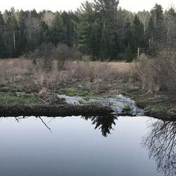 i need you like water