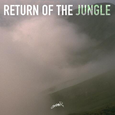 Return Of The Jungle