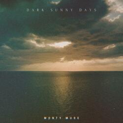 Dark Sunny Days