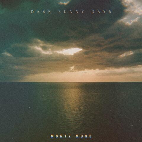 Dark Sunny Days