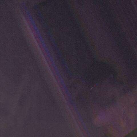 9p_rav