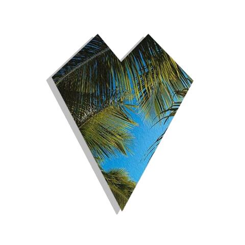 Trachycarpus