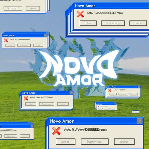 Novo Amor