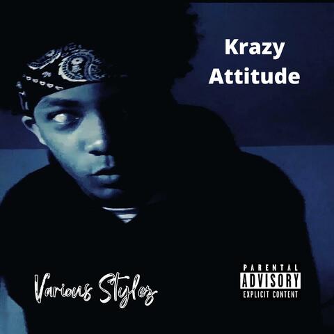 Various Stylez