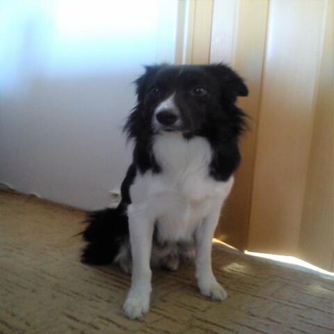 One Of Milion