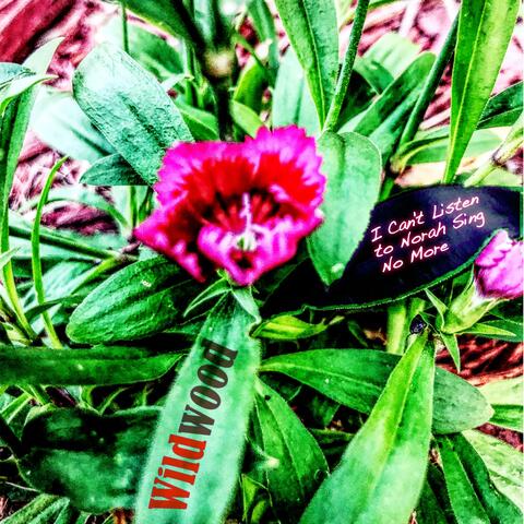 I Can't Listen To Norah Sing No More