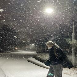 snowfall