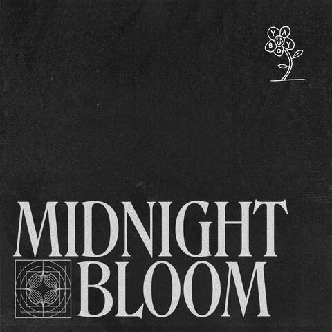 Midnight Bloom