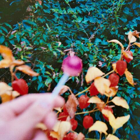 SWEET