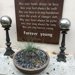 I Miss You & Your Spirit Will Always Guide Me Through