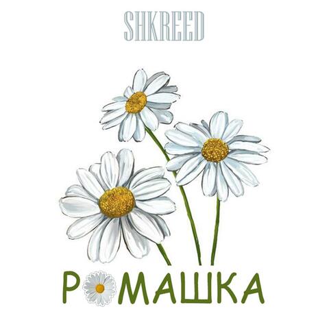 Ромашка