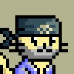Sly Cooper Pack Finesse (fademan)