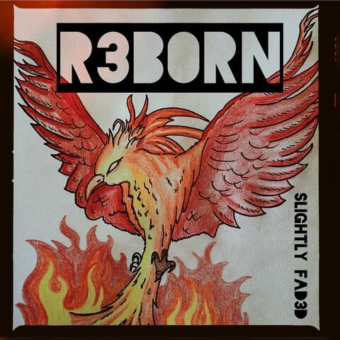 R3B0Rn