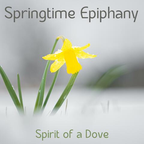 Springtime Epiphany
