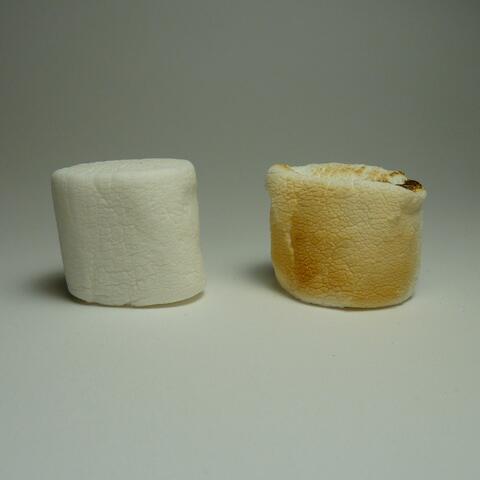 Initial Demonstration