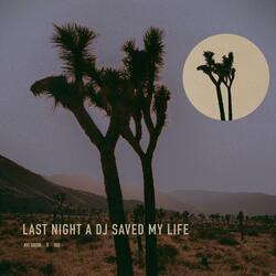 Last Night a DJ Saved My Life