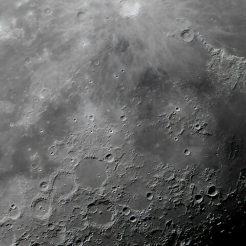 Lander