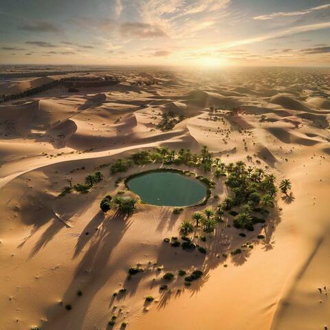 Oasis