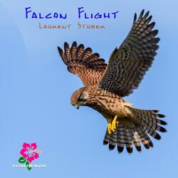 Falcon Flight