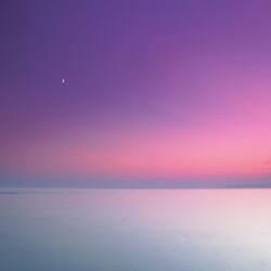 Liability For Your Love