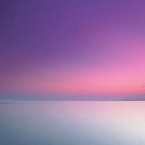 Liability For Your Love