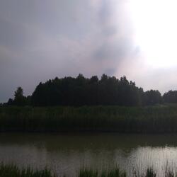 The river flows into the sea