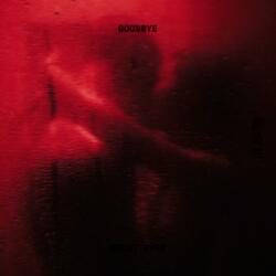 Goodbye