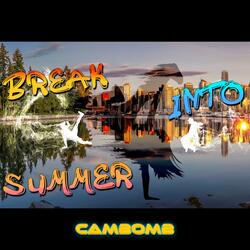 Break Into  Summer