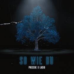 So wie du