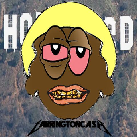 HOLLYWOOD SWAG