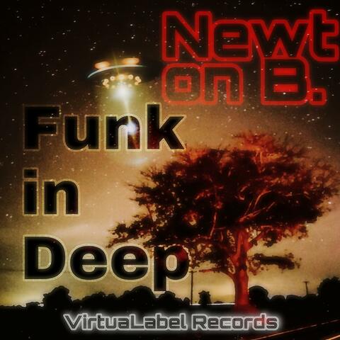 Funk In Deep